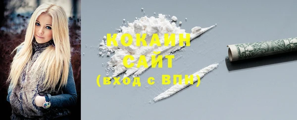 кокс Алексин