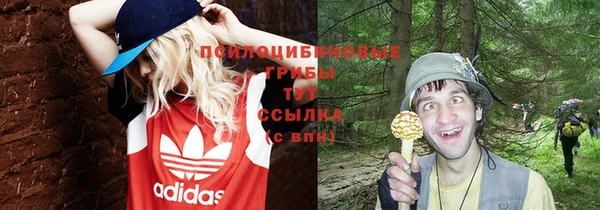 кокс Алексин